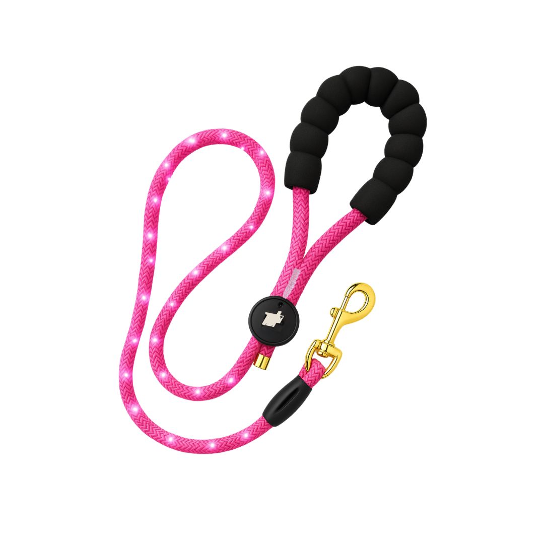 Lumon LED Leash